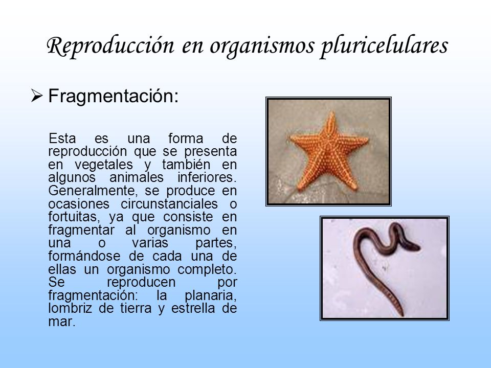 El tratamiento del hongo de las uñas al extranjero